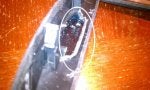 IMAG0303.jpg