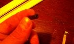 IMAG0298.jpg